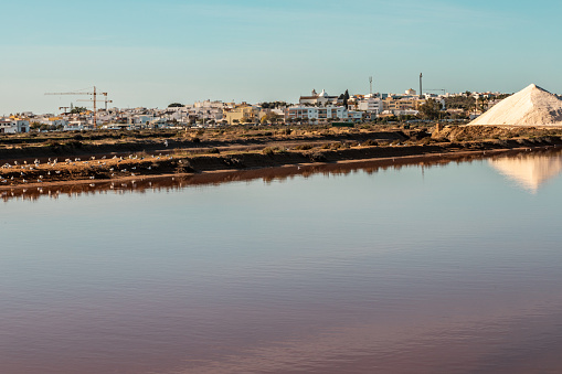 Landscape of the Salinas de Fuseta in the Algarve