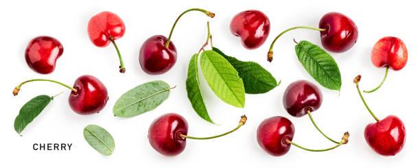 istock Red cherry fruits and leaves set isolated on white 1459351253