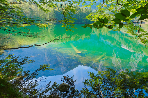 Beautiful spring river in the flowing nature. Colorful landscape in the morning and evening. Travel to deserted places of the world. Stock photo for design