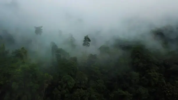 View of the smoke haze in the Ulu Masen Forest, Aceh Province.