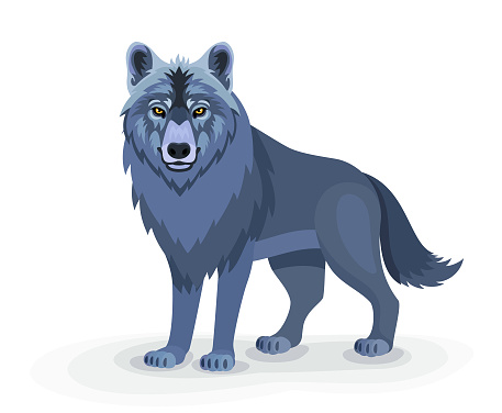 Wolf Character. Mascot Creative Design.
