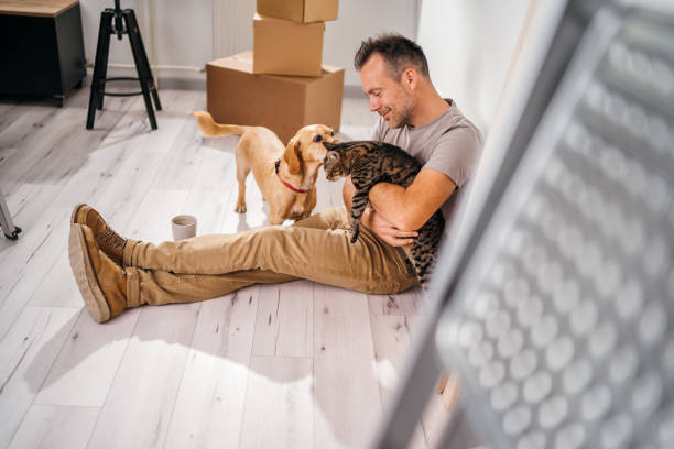 istock a coffee break with my pets while the renovation is in progress 1459359100