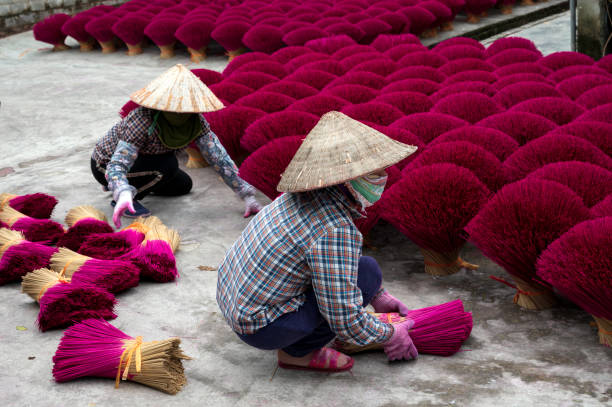 istock Drying incense stick in vietnam 1459361416