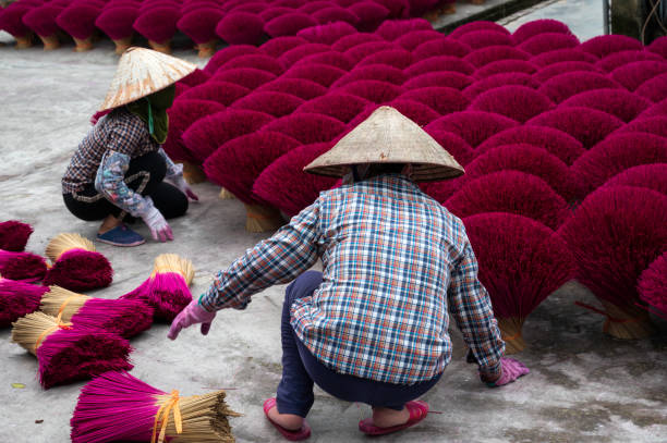 istock Drying incense stick in vietnam 1459361424