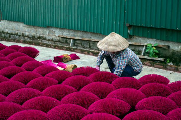 istock Drying incense stick in vietnam 1459361425