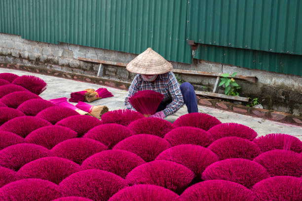 istock Drying incense stick in vietnam 1459361429