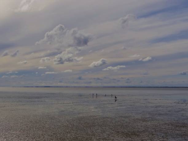 istock German North Sea, Wadden Sea at low tide 1459362605