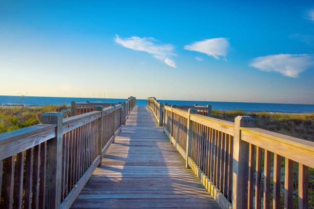istock Boardwalk to the beach-Myrtle Beach, South Carolina 1459363866