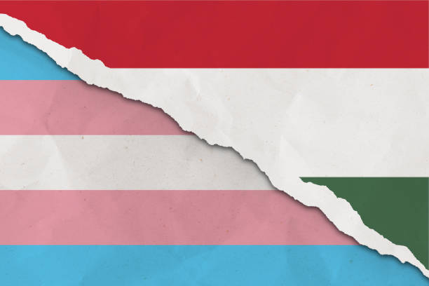 ungarn und trans-flagge zerrissenen papier-grunge-hintergrund. konzept von konflikt und trans-rechten. ungarn vs. trans-community-metapher. spannung und krise für bürgerrecht und gay pride, freiheit und liebeskonzept - gay man gay pride civil rights pride stock-fotos und bilder