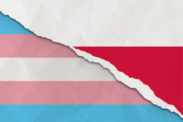 polen und trans-flagge zerrissenes papier grunge hintergrund. konzept von konflikt und trans-rechten. polen vs. trans-community-metapher. spannung und krise für bürgerrecht und gay pride, freiheit und liebeskonzept - gay man gay pride civil rights pride stock-fotos und bilder