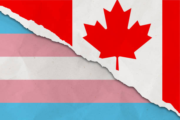 kanada und trans-flagge zerrissenen papier-grunge-hintergrund. konzept von konflikt und trans-rechten. kanada vs. trans-community-metapher. spannung und krise für bürgerrecht und gay pride, freiheit und liebeskonzept - gay man gay pride civil rights pride stock-fotos und bilder