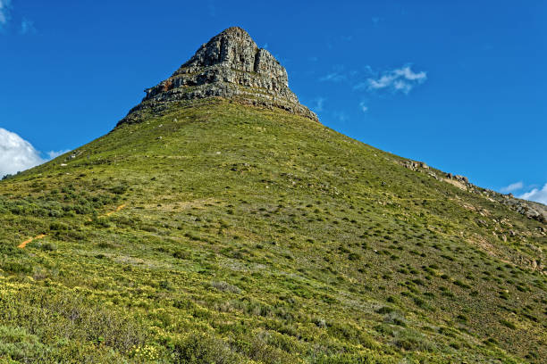 Lions Head Mountain in Cape Town