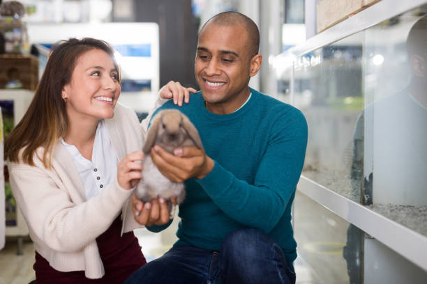 istock Happy couple holding rabbit in pet sho 1459369107