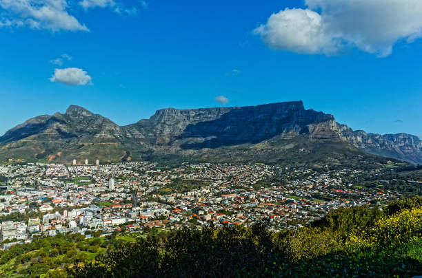 istock Upper suburbs of Cape Town below Table Mountain 1459370274