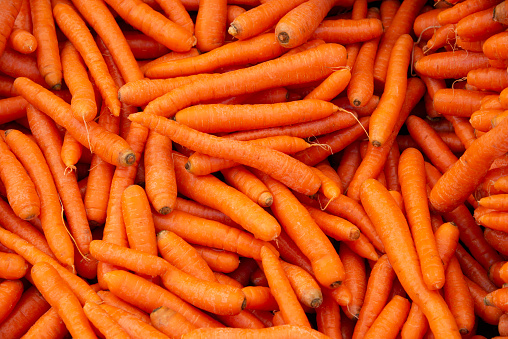 stack of carrot on market place, new ripe