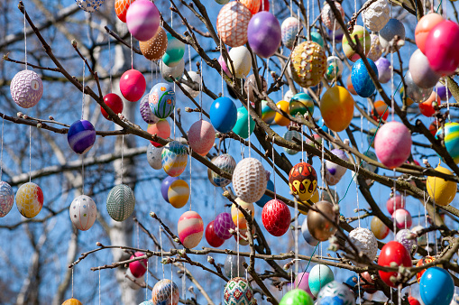 eastereggs hanging on apple tree. A lot of colorful and handmade eggs.