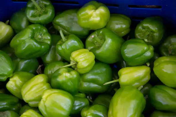 Photo of Green bell peppers