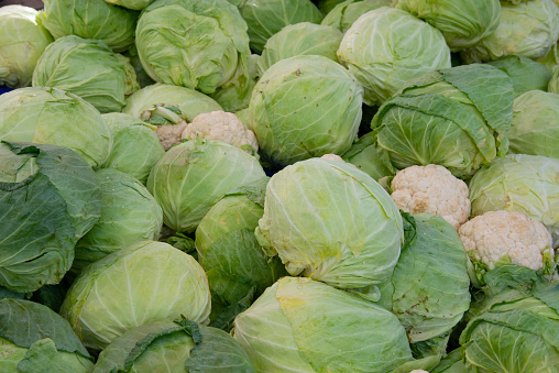 Variety of cabbage on the market stall