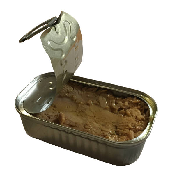 istock Open Can of Tuna in Perspective Pose 1459377362