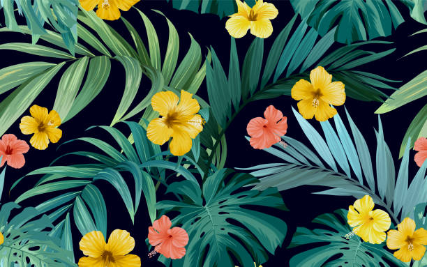 ilustrações, clipart, desenhos animados e ícones de padrão tropical com folhas verdes de monstera e flores de hibisco. fundo vetorial de verão ou ilustração têxtil. - hawaiian culture hibiscus print pattern