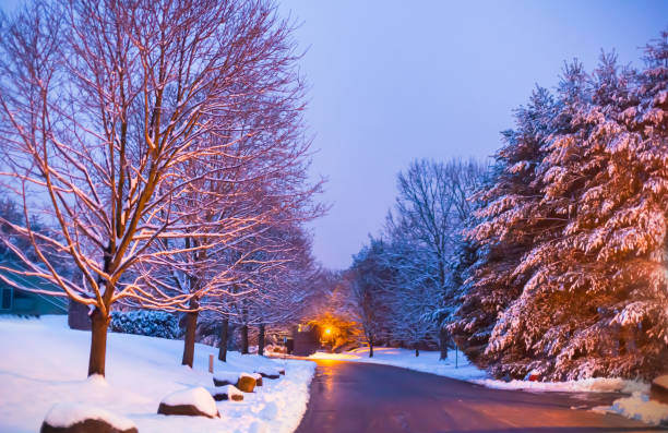 Community during heavy snowstorm, Worcester, Pennsylvania, USA