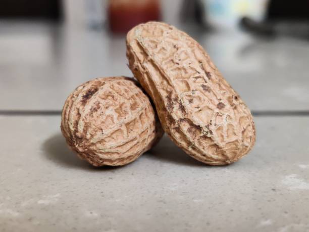 istock Groundnuts - stock photo 1459382583