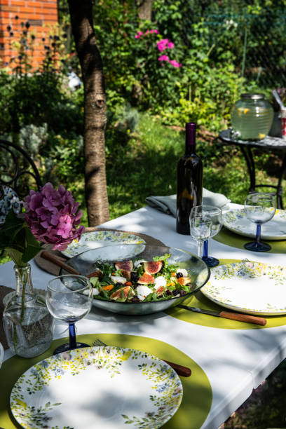 istock Fresh salad on table on the garden party 1459384209