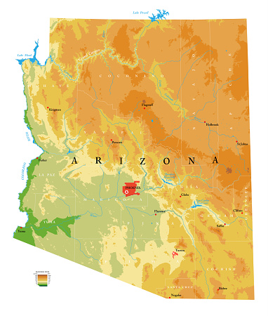 Highly detailed physical map of the Arizona, in vector format,with all the relief forms,regions and big cities.