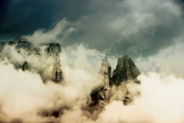 istock Rainforest Forest in Australia with fog 1459386763