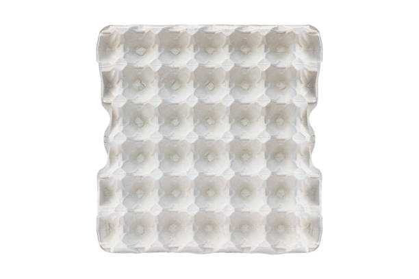istock egg tray, empty paper egg tray, larger tray for 30 eggs isolated from background 1459390203