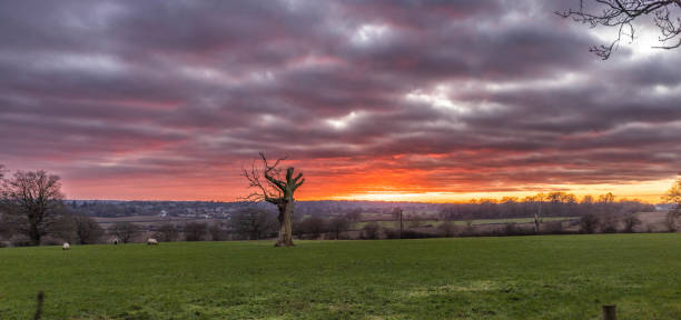 istock Beechbarn farm in Enfield 1459390581