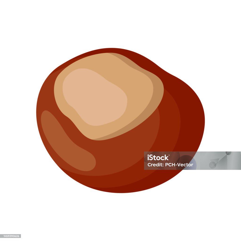Chestnut Kernel Brown Chestnut Kernel Isolated On White Background Stock Illustration ...