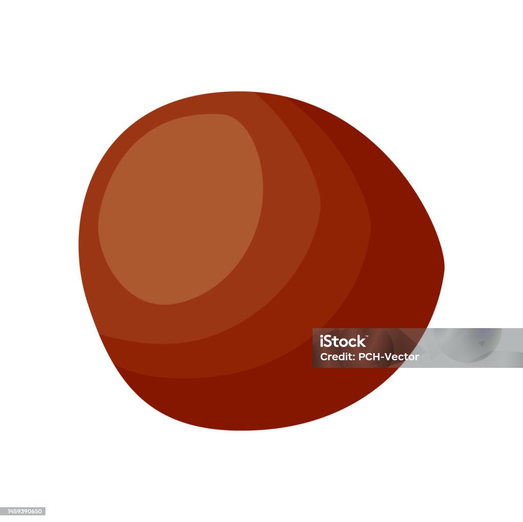 Fresh Chestnut Without Shell Chestnut Without Shell Isolated On White Background Stock Illustration ...
