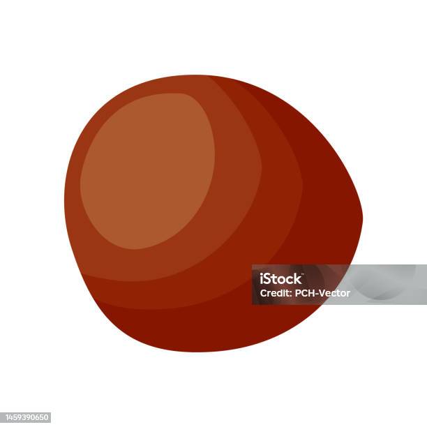 Chestnut Without Gradient Chestnut Without Shell Isolated On White Background Stock Illustration ...