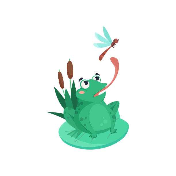 ilustrações, clipart, desenhos animados e ícones de sapo quadrinho pegando a ilustração vetorial da libélula - frog catching fly water