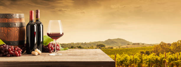 istock Wine tasting in the vineyard 1459391054