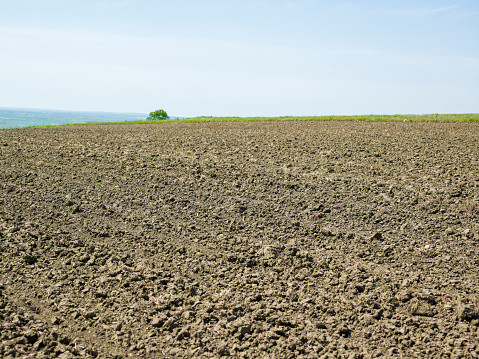 Plowed field