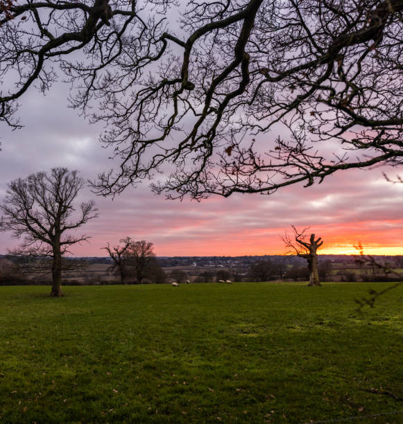 istock Beechbarn farm in Enfield 1459392052