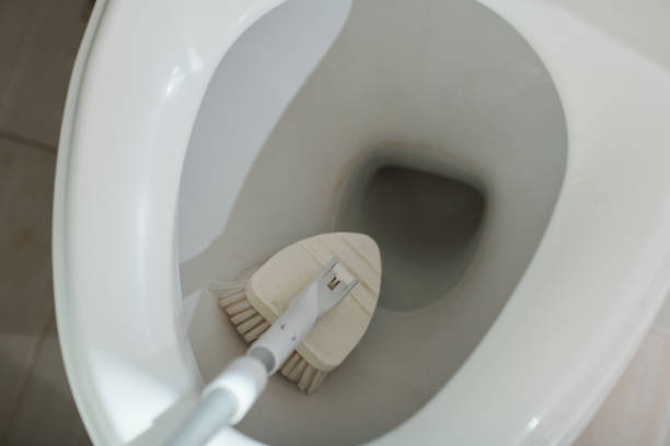 istock Person Cleaning Toilet 1459396612