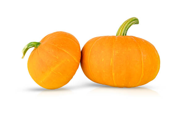 istock Two yellow pumpkins isolated on a white background 1459399020