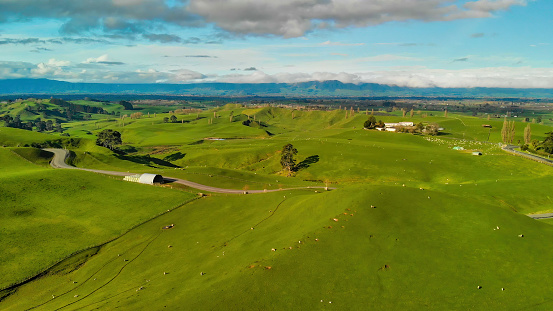 Aerial view of colourful New Zealand Countryside in spring season.