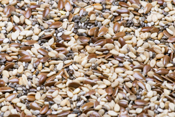 istock Seeds of various types wallpaper 1459401202