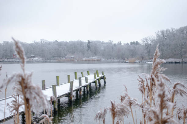 stary drewniany pomost w mroźnym zimowym krajobrazie jeziora - winter landscape sweden snow zdjęcia i obrazy z banku zdjęć