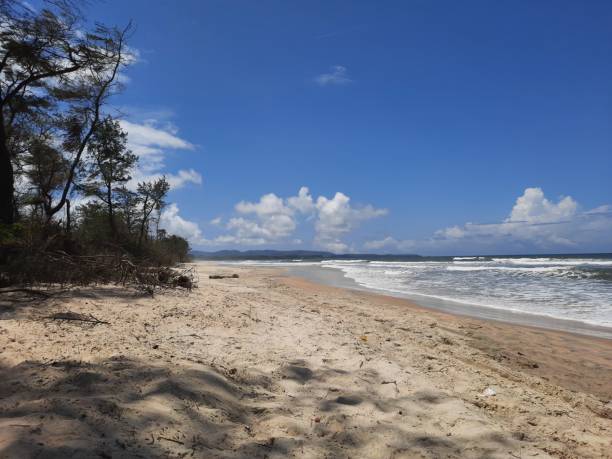 Goa sand beach and blue sky. Indian sea beach.