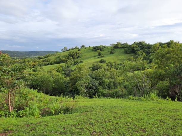 istock green landscape in india. grass landscape. 1459409765