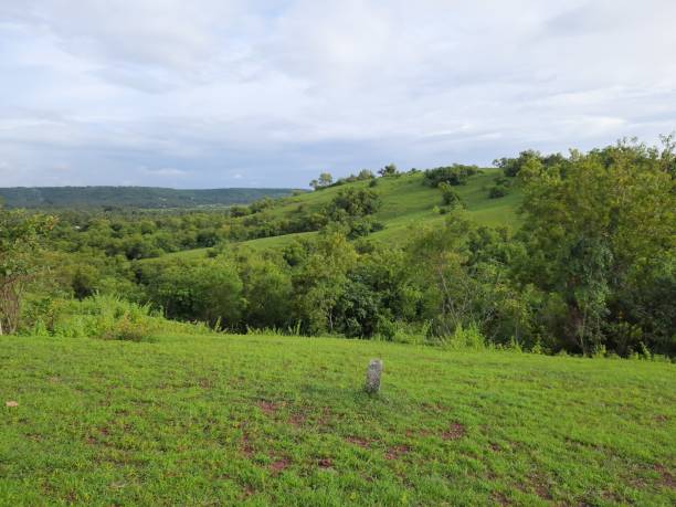 istock green landscape in india. grass landscape. 1459409846