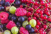 Natural background of red raspberries, blackcurrant, red currant, gooseberries, blackberries. Organic berries concept