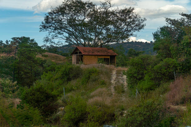 Rural yard with shabby wooden constructions and green trees in mountainous village in summer