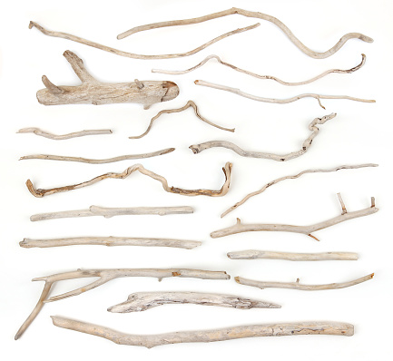 Horizontal Seascape of tree driftwood branch sticks on beach sand at Brunswick Heads near Byron Bay Area Australia