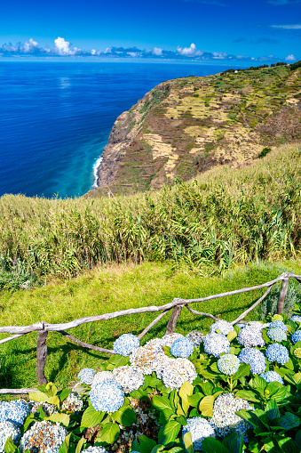 Amazing coastline of Madeira in summer season. Beautiful european island on a sunny day, Portugal.